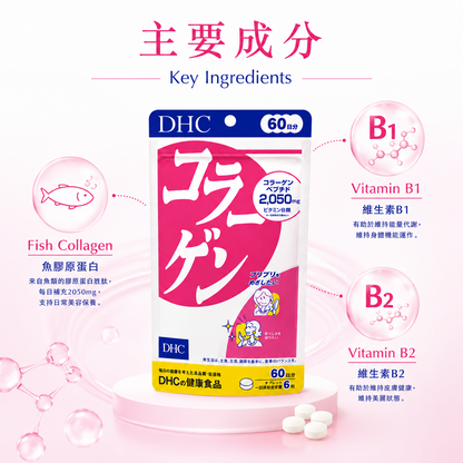 DHC Collagen 60日份 主要成分